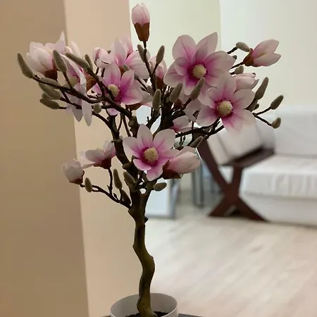 Apartament 